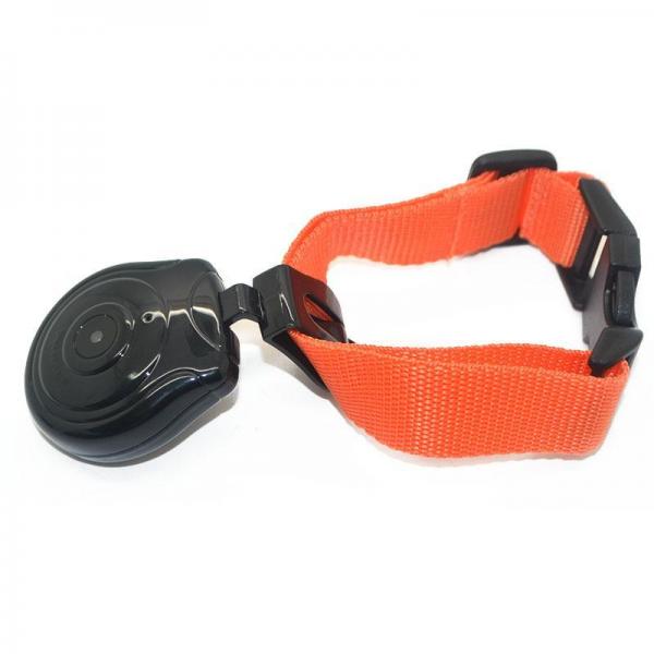 Pet camera & Automatic pet camera with lightweight